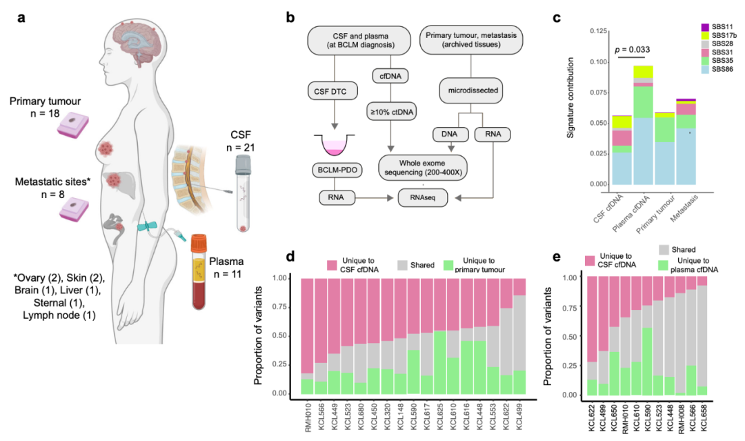 Nature子刊：患者來源的類器官，為乳腺癌腦轉移帶來新見解